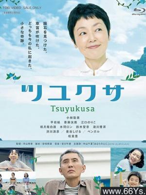 山海秘境